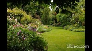 Сергей Есенин - С добрым утром!