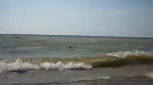 Обское море большие волны