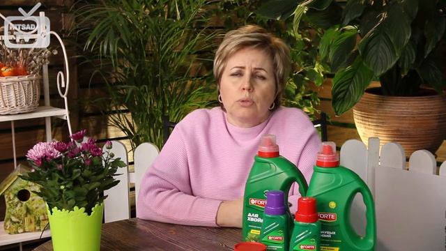 Древогубец ➡ Вьющиеся растения уход и особенности выращивания ? сад огород с hitsadTV смотреть онлайн