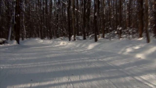 Парк Солянка покатался на лыжах смотреть онлайн