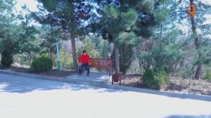 Барои 5 Сум мара гам натед и камай Гр Арабшо сахнаи нав 2021