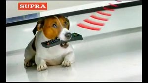 Телевизор Supra