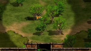 Primitive wars (Primitive man, stage 11)