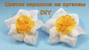 Как сделать цветок нарцисс из лент органзы 2,5 см своими руками для заколок волос