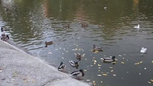 СКРЫВАЕТ ОТ ВСЕХ! Вот как выглядит муж актрисы Махассин Мерабет. Актриса Сериала Плен