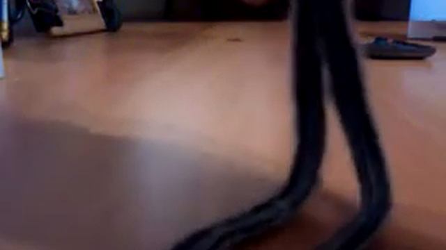 nikon s2500 смотреть онлайн