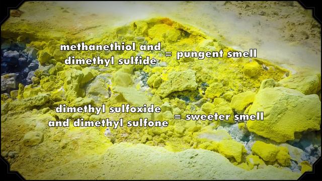 Why does asparagus make your pee smell? - Big Questions - (Ep. 22) смотреть онлайн