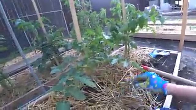 ВЛОГ: Сами разберёмся / Приняли обоюдное решение / Последствия / Работа в огороде смотреть онлайн