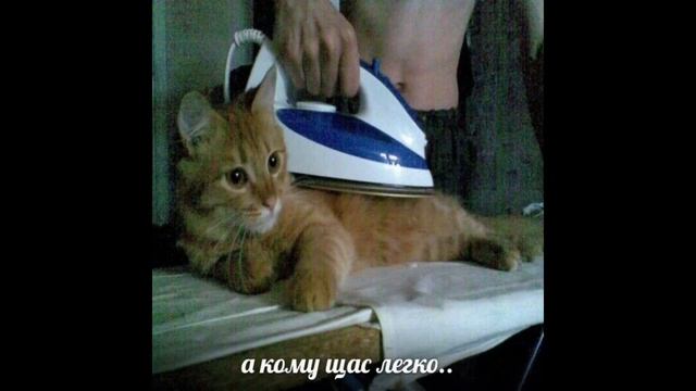 Как установить карту в scooter flow 0.6?Как исправить баг с удалением карты в игре? смотреть онлайн