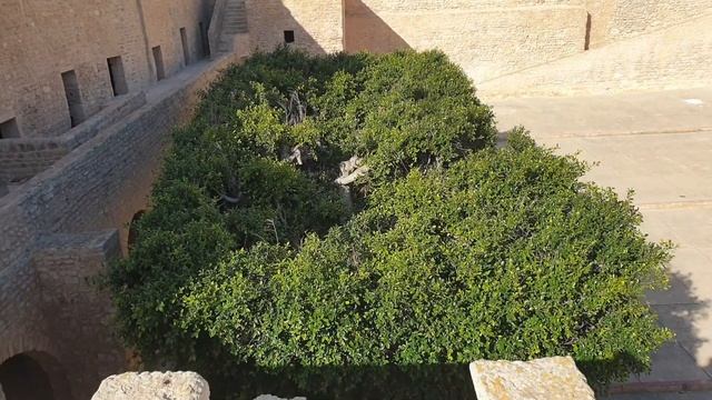 Ribat of Monastir смотреть онлайн