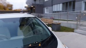 Верхний багажник Муравей Д1 для ниссан лиф nissan leaf