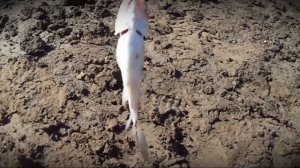 Черкесское водохранилище 04 05 2014