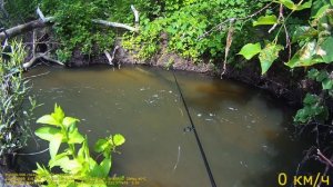 Рыбалка на речке.