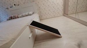 Пандус для собак прикроватный.
