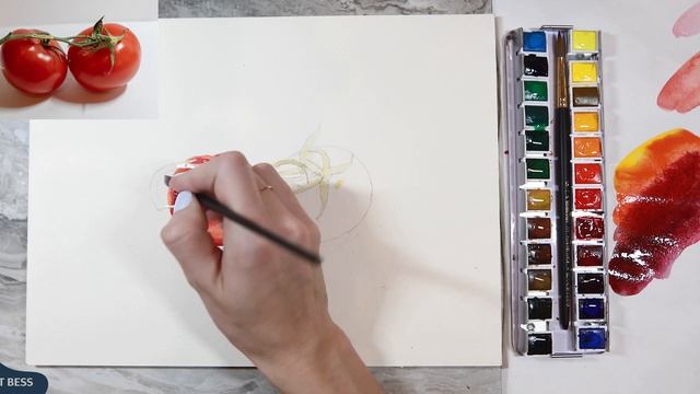 Томаты акварелью пошагово. Курс акварели. Урок 1. Рисование с Анной Бессмертной