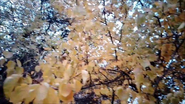 Чем занимаюсь в воскресенье... смотреть онлайн