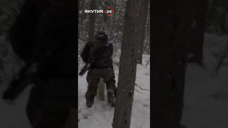 Соболю прострелили ухо, собака цапнула за руку/The sable was shot in the ear, dog bit him on the arm