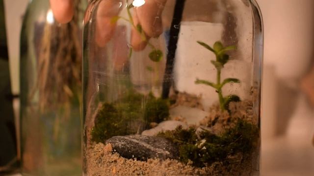 ПЕРЕДЕЛКА комнаты в стиле ✨GoblinCore✨ смотреть онлайн