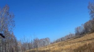 Охота на косулю 2021 Первый дубль! Шикарный выход на номер!