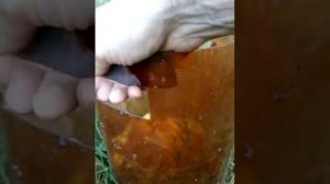 Ведро для бытовых нужд из пивной ПЭТ кеги 30 литров. Вариант 2.