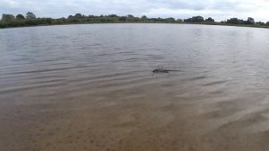 Рыбалка на Луге. Сентябрь. Два выезда с ночёвкой.