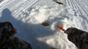 КУДА не кинь везде ЯЗЬ, ЯЗЬ и СОРОГА!!! А ХОТЕЛИ просто ЛОВИТЬ КРУПНОГО ОКУНЯ! Закрыли Сезон ЗИМНИЙ