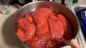 Солим красную Икру ( кета )