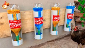 Поилки и кормушки курам – труба, шланг и бутылки 2 л