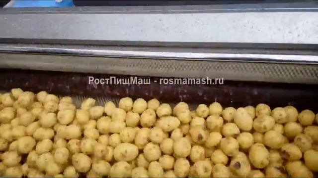 Машина щеточно-абразивная  очистки от кожуры корнеплодов  от РостПищМаш