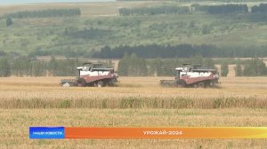 Урожай-2024