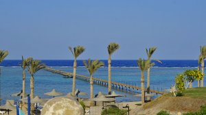 Египет октябрь 2014, Марса-Алам, El Phistone Resort Marsa Alam 4*