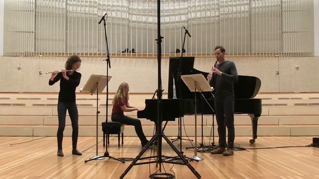 A. Dvorak Symphony op.95 No9 - I Adagio-Allegro From the new world - TRIO flute, clarinet, piano смотреть онлайн