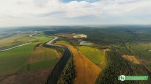Лето в Калужской области