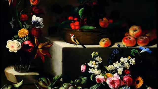 Tomaso G. Albinoni: Violin sonata in B flat Composta per il Signor Pisendel So 32 - II. Allegro