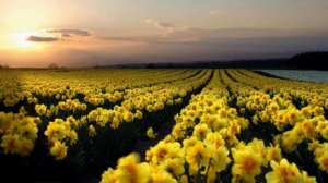 Тур в Закарпатье из Киева. Автобусные туры в Закарпатье. Экскурсии в Закарпатье.