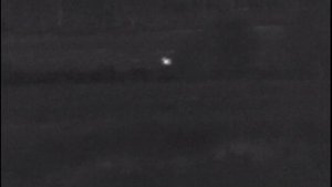 Открытие охоты на копытных 2023