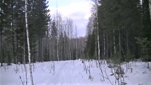 Как мы строим избушку таёжную? Смотрите. 1 этап. смотреть онлайн