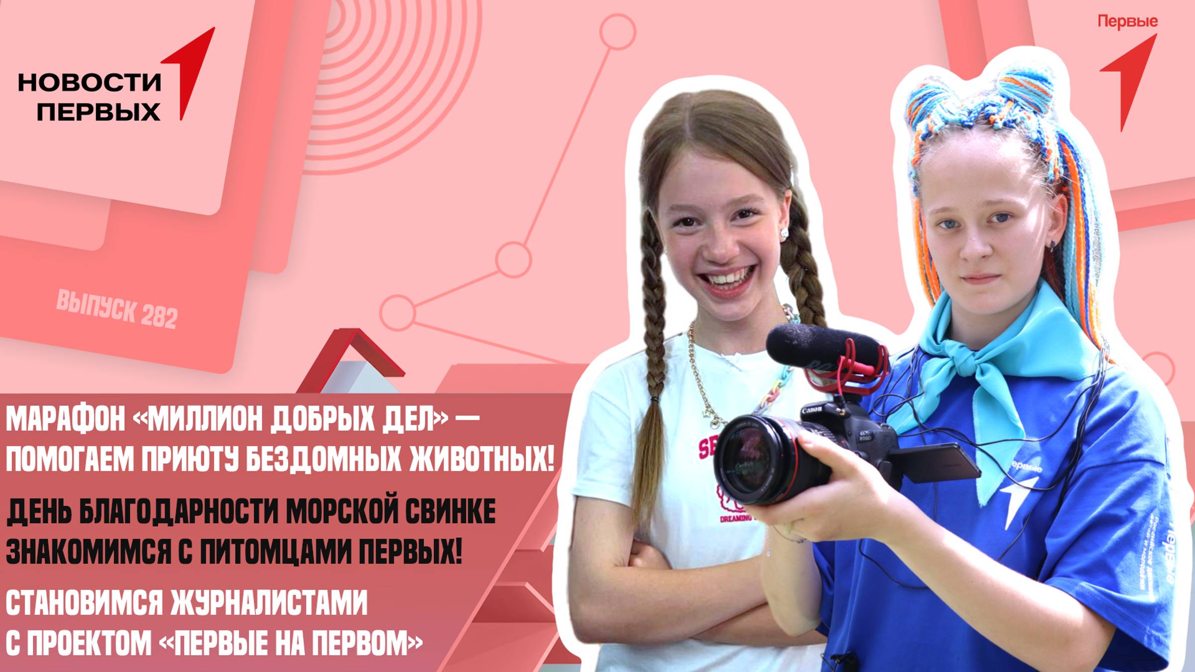Марафон «Миллион добрых дел» — приют бездомных животных НИКА | День благодарности морской свинке