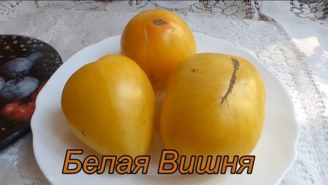 Томаты в разрезе . Фрагмент № 6.