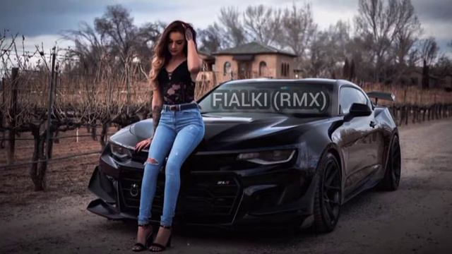 FIALKI (RMX) смотреть онлайн