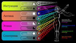 Соционика. Лекция №3. За какие области жизнедеятельности человека отвечают соционические функции.