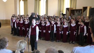 БДХ. Мой щенок похож немного... #shorts