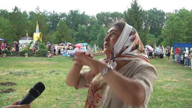 сюжет Елезарово от 2018-07-09
