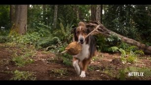 Руби, собака-спасатель 💠 Русский трейлер 💠 Фильм 2022 (Netflix)