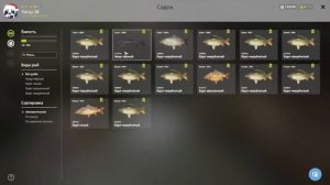 РР4 оз Медвежье корд  55 31 кл 17м