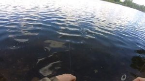 ловля карася на пенопласт