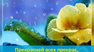Христианские Песни,Караоке*Я Пью Твою любовь*Прославление