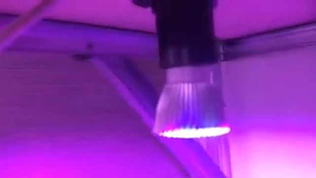 Полка на подоконнике для рассады смотреть онлайн