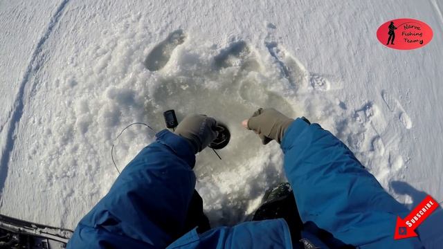 Чудское озеро 2018 | Зимняя рыбалка | Уловистый март и крупный окунь! смотреть онлайн