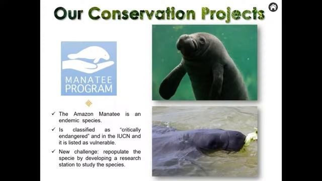 Webinar Amazon - Galapagos Islands смотреть онлайн